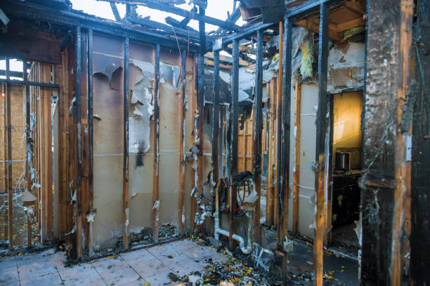 Professional Fire Damage Removal technician working in Worth, IL